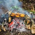 Placa de parrilla de barbacoa de carbón de titanio para acampar